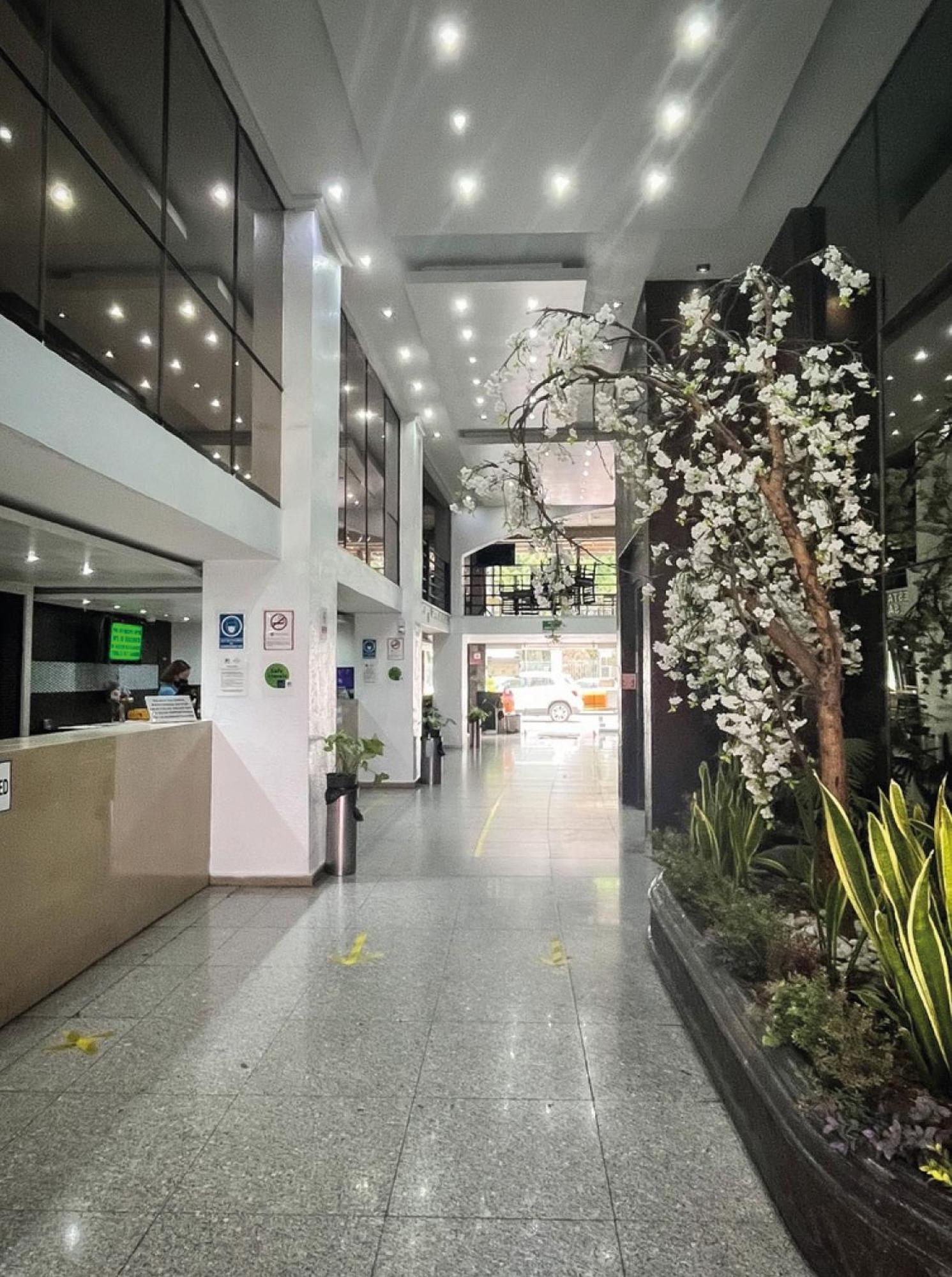Hi Hotel Impala Queretaro Exterior photo